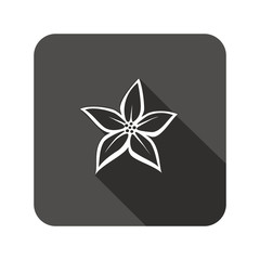 Lily flower icons. Floral symbol. Rounded square flat icon with long shadow. Vector