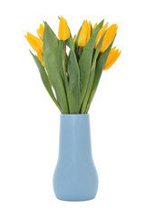 Tulips in vase