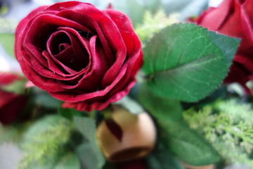 beautiful natural looking red rose