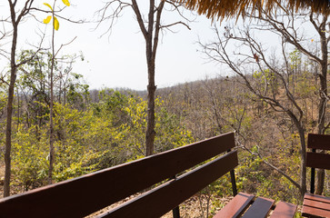 wooden bench in gazebo on the hill in forest