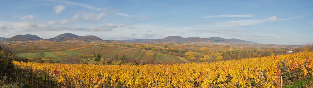 Rheinebene bei Ilbesheim im Herbst