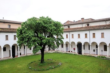 Fototapeta na wymiar Inside the former Franciscan monastery with big cherry tree. Renaissance architecture.