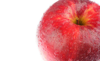 Macro close-up shot of Red Fresh Wet Apple on white