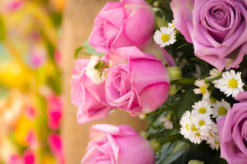 beautiful background with flowers roses