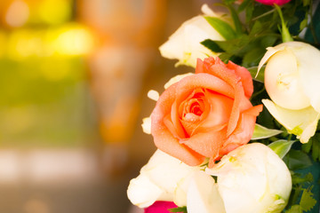beautiful background with flowers roses