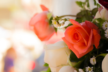 beautiful background with flowers roses