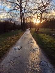 Obraz premium Laufstrecke Nass