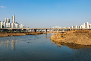 Bridge in Seoul with river