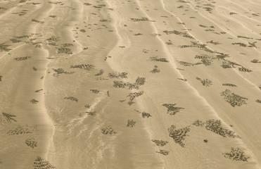 Sand texture