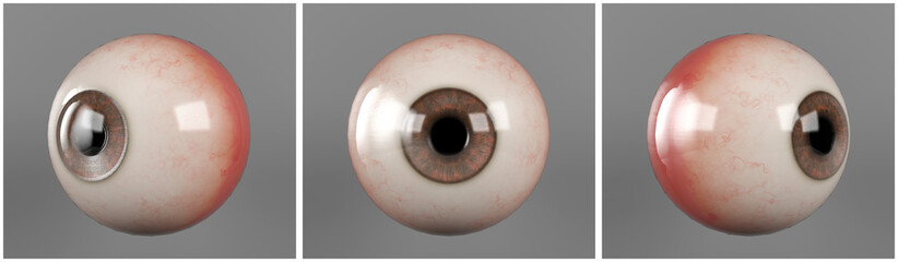 Realistic human eyeballs brown iris pupil in three different sides