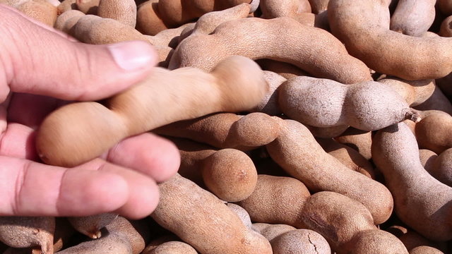 Hand was chosen tamarind