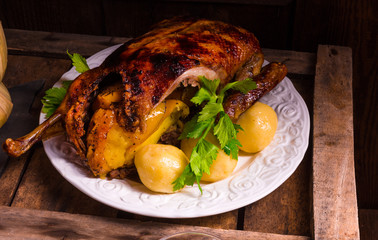 delicious duck