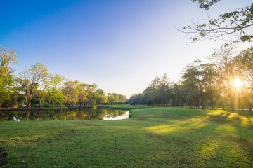 Obraz premium Green trees in beautiful park over blue sky in evening