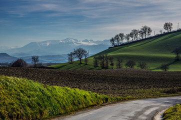 Campagna Marchigiana