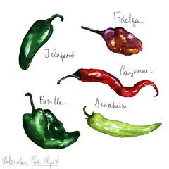 Raamstickers Watercolor Food Clipart - Peppers © nataliahubbert