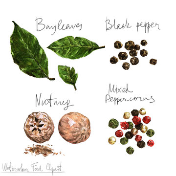 Watercolor Food Clipart - Spices