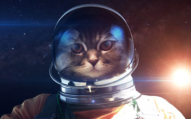 Brave cat astronaut at the spacewalk. This image elements furnished by NASA