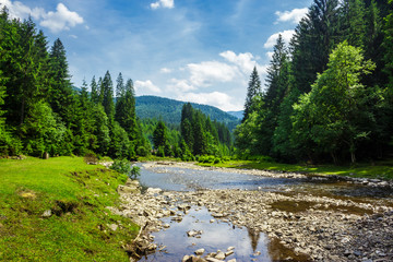landscape with mountain river - Powered by Adobe