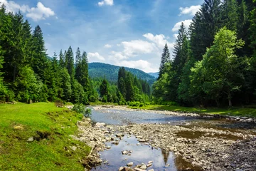 Wandaufkleber landscape with mountain river © Pellinni