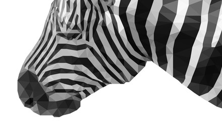 low poly illustration of close up zebra head isolated on white background with clipping path
