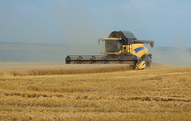 Obraz premium Yellow harvester removes wheat