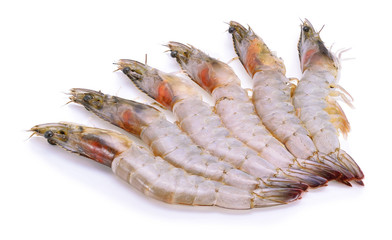 Fresh shrimp on a white background