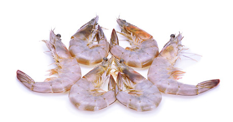 Fresh shrimp on a white background