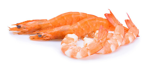 shrimps on a white background