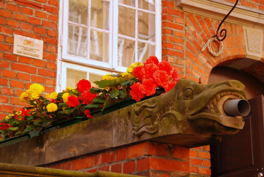 Danzig - Wasserspeier in der Frauengasse
