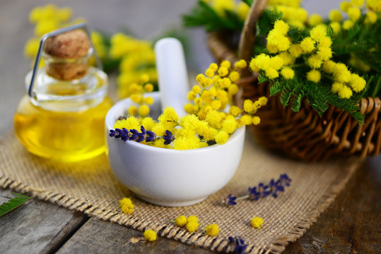 Mimose