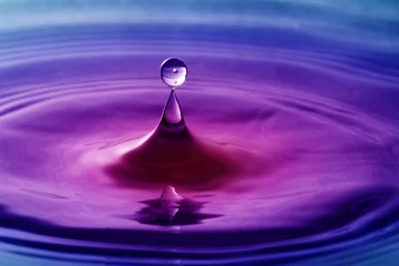Foto auf Acrylglas Violett Wassertropfen hautnah