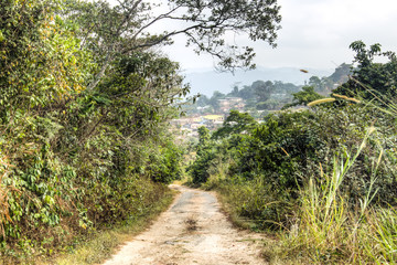 Fototapeta na wymiar Landscape in Amedzofe, Volta Region, Ghana.