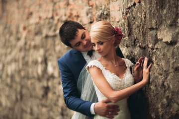 Stylish beautiful couple of happy newlyweds on a walk in the sunny autumn park on their wedding day