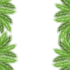 Fototapeta na wymiar palm branch template