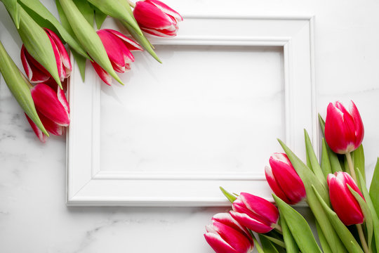 Tulip with blank picture frame