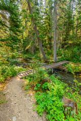 Beautiful Mountain Trail. Lightning Lake Trail at Manning Park in British Columbia. Canada.