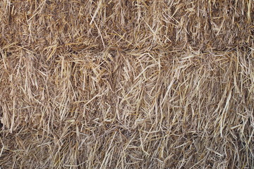 Stack of straw after harvesting in country area 