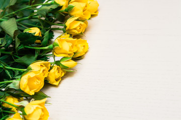 Yellow roses on a light wooden background. Women' s day, Valenti