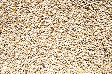 Green coffee beans background.