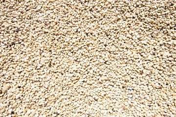 Green coffee beans background.