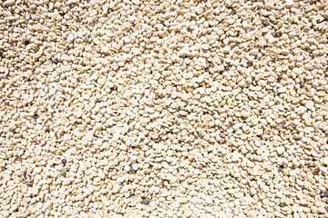 Green coffee beans background.