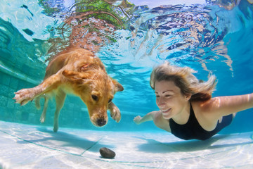 Smiley woman playing with fun and training golden retriever puppy in swimming pool - jump and dive underwater to retrieve stone. Active games with family pets and popular dog breeds like a companion.