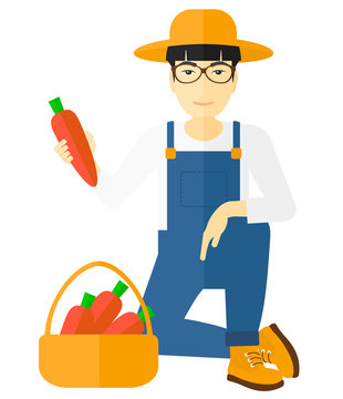 Farmer collecting carrots.