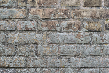 Old brick wall, background image