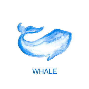 Watercolor Illustration of whale. 
