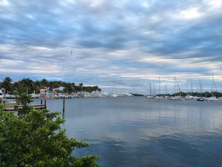 Naklejka premium coconut grove marina