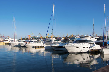 Fototapeta premium White yachts in the port