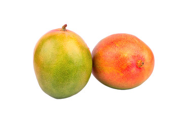 Fototapeta premium Two mango fruit