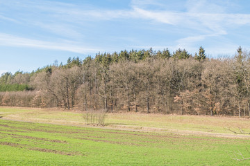 Landschaft im Fr&uuml;hjahr