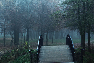 jesienny park we mgle3 © es2